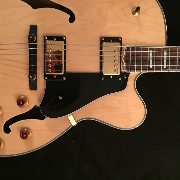 washburn guitar serial number search